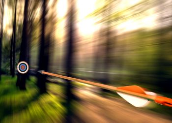 Цели и средства