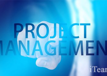 Системное представление Управления проектами