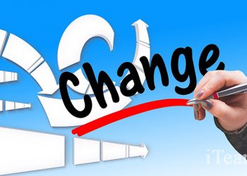 Реорганизация финансово-экономической службы компании