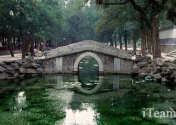 Беглый взгляд на управленческий баланс