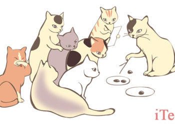 11 признаков обучающейся организации