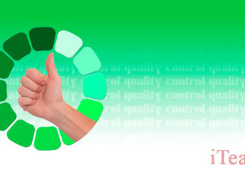 Управление качеством и стандарты ISO 9000: мыльный пузырь или новая парадигма бизнеса