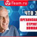 организационная структура компании