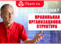 Какая она - ПРАВИЛЬНАЯ ОРГСТРУКТУРА?