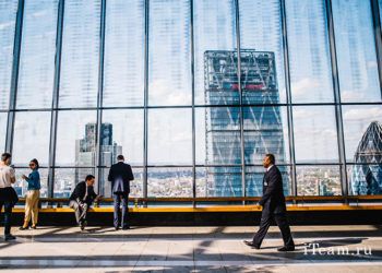 Из чего состоит компания