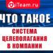 Sistema celepolaganiya v kompanii