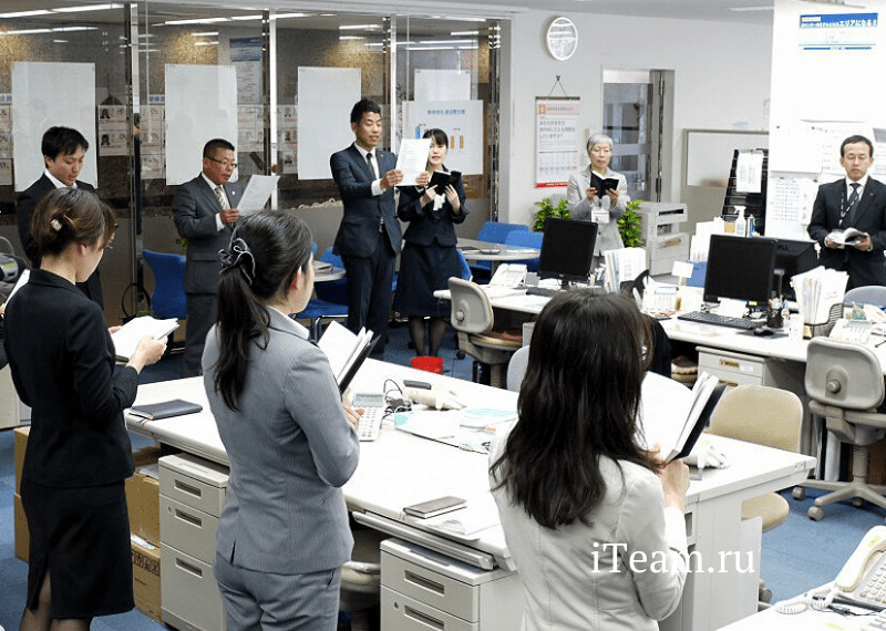 амеба менеджмент