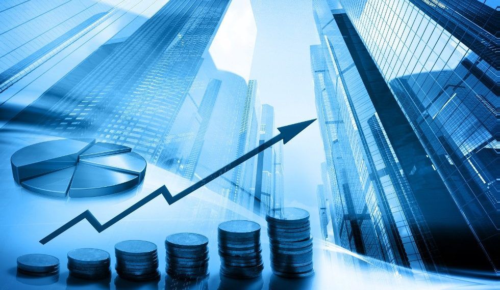 Управление финансами компании: отчёты и показатели