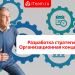 Разработка стратегии. Организационная концепция